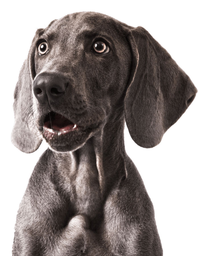 iStock 157527277